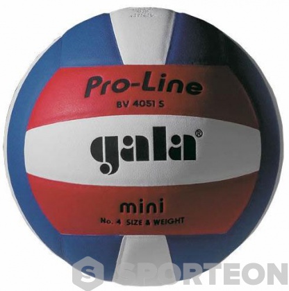 Топка за волейбол Gala Pro-Line Mini BV 4051 S