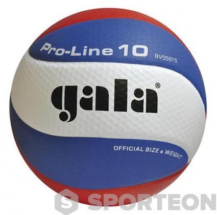 Топка за волейбол Gala Pro-Line 10 BV 5581 S