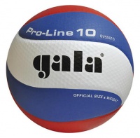 Топка за волейбол Gala Pro-Line 10 BV 5581 S