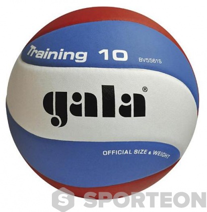 Топка за волейбол Gala Training 10 BV 5561 S