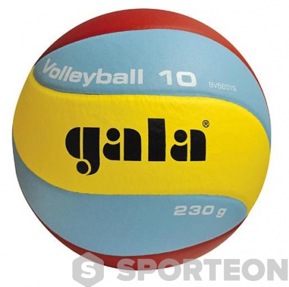Топка за волейбол Gala Volleyball 10 BV 5651 S 230g
