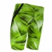 Мъжки бански Michael Phelps Mesa Jammer Green