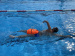 Буй за плувци Swim Secure Tow Float Elite
