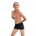 Speedo Hyper Boom Placement Aquashort Boy Black/Bolt